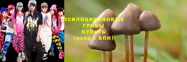 ALPHA PVP Алексин