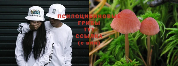 COCAINE Алзамай