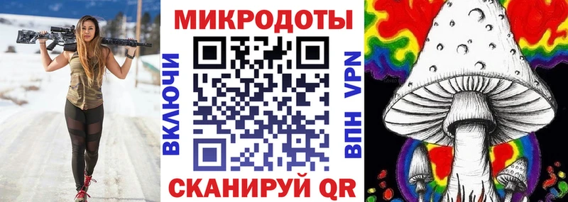 Галлюциногенные грибы Psilocybine cubensis  Омутнинск 